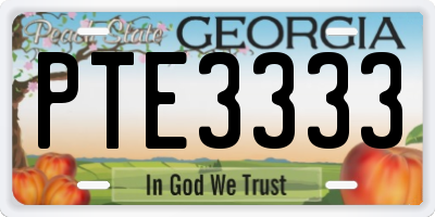 GA license plate PTE3333