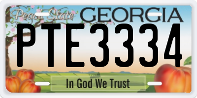 GA license plate PTE3334
