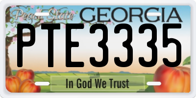 GA license plate PTE3335