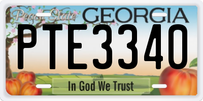 GA license plate PTE3340