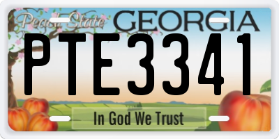 GA license plate PTE3341