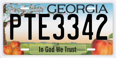 GA license plate PTE3342
