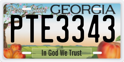 GA license plate PTE3343