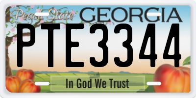GA license plate PTE3344