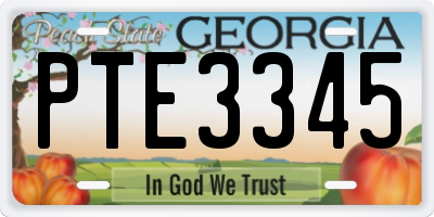GA license plate PTE3345