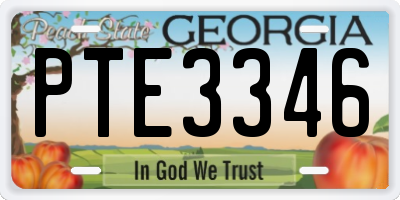 GA license plate PTE3346