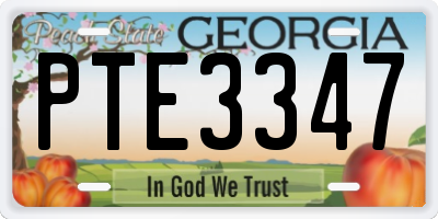 GA license plate PTE3347