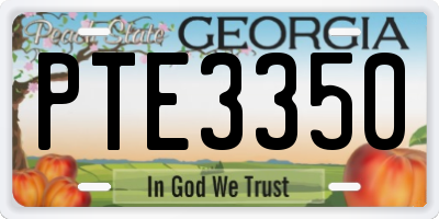 GA license plate PTE3350
