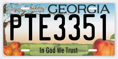 GA license plate PTE3351