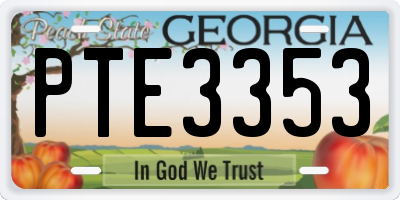 GA license plate PTE3353