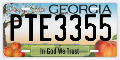 GA license plate PTE3355
