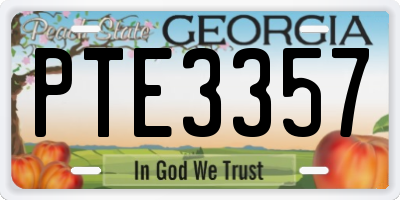 GA license plate PTE3357