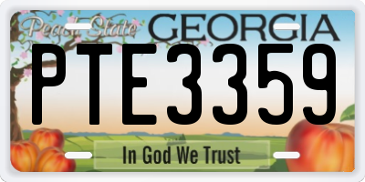 GA license plate PTE3359