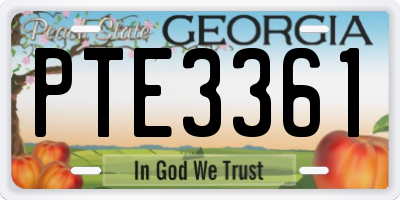 GA license plate PTE3361