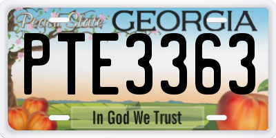 GA license plate PTE3363