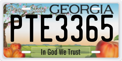GA license plate PTE3365