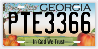 GA license plate PTE3366