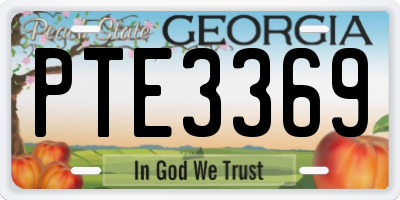 GA license plate PTE3369