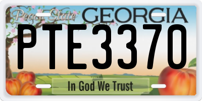 GA license plate PTE3370