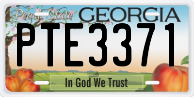 GA license plate PTE3371