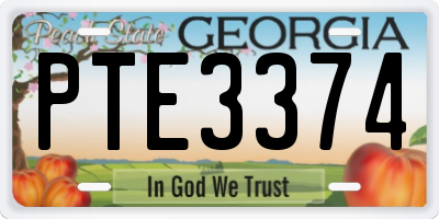 GA license plate PTE3374