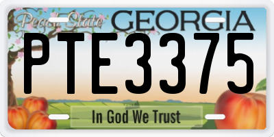 GA license plate PTE3375