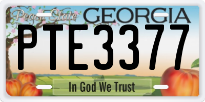GA license plate PTE3377