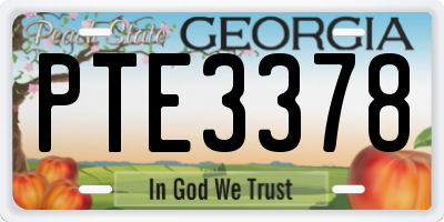 GA license plate PTE3378