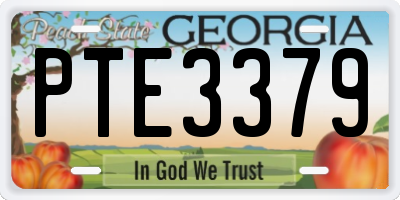 GA license plate PTE3379