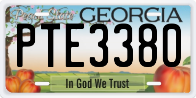 GA license plate PTE3380