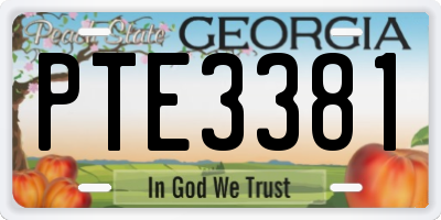 GA license plate PTE3381