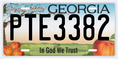 GA license plate PTE3382