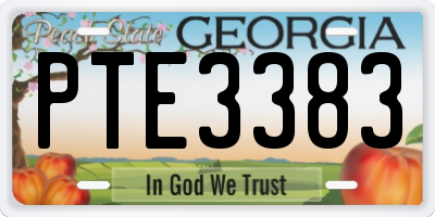 GA license plate PTE3383
