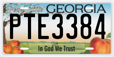 GA license plate PTE3384