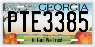 GA license plate PTE3385