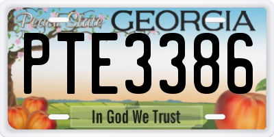 GA license plate PTE3386