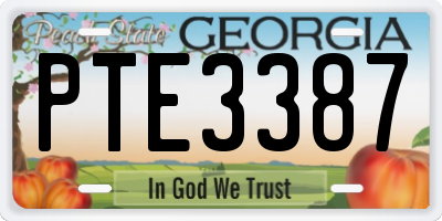 GA license plate PTE3387