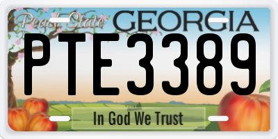 GA license plate PTE3389