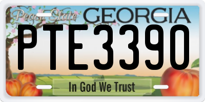 GA license plate PTE3390
