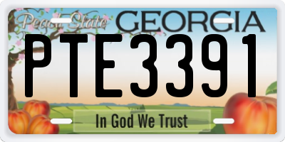 GA license plate PTE3391