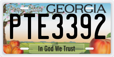 GA license plate PTE3392