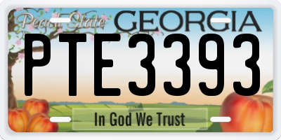 GA license plate PTE3393