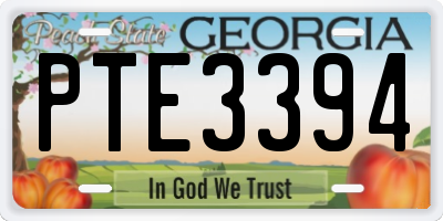 GA license plate PTE3394