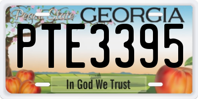 GA license plate PTE3395