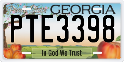 GA license plate PTE3398