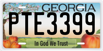 GA license plate PTE3399