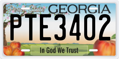GA license plate PTE3402