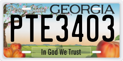 GA license plate PTE3403