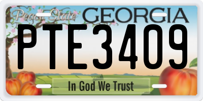 GA license plate PTE3409