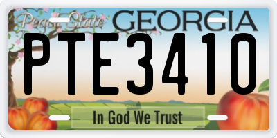 GA license plate PTE3410
